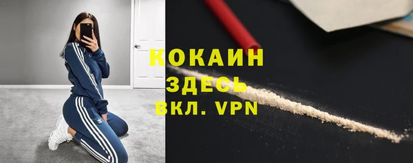 твердый Новокубанск