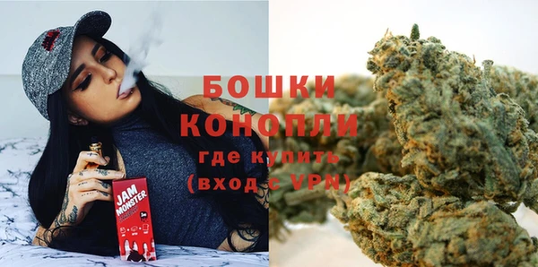 трава Новодвинск