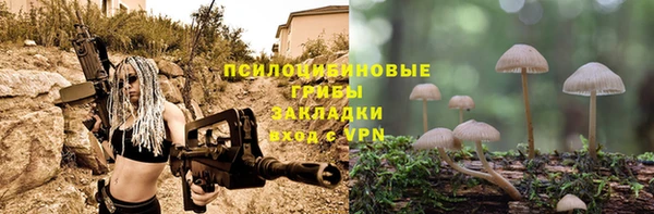 твердый Новокубанск