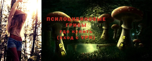 трава Новозыбков