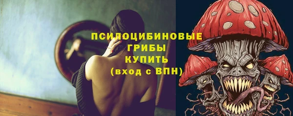 трава Новозыбков