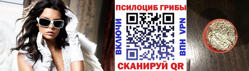 KRAKEN ССЫЛКА  Новоульяновск  Галлюциногенные грибы Psilocybine cubensis 